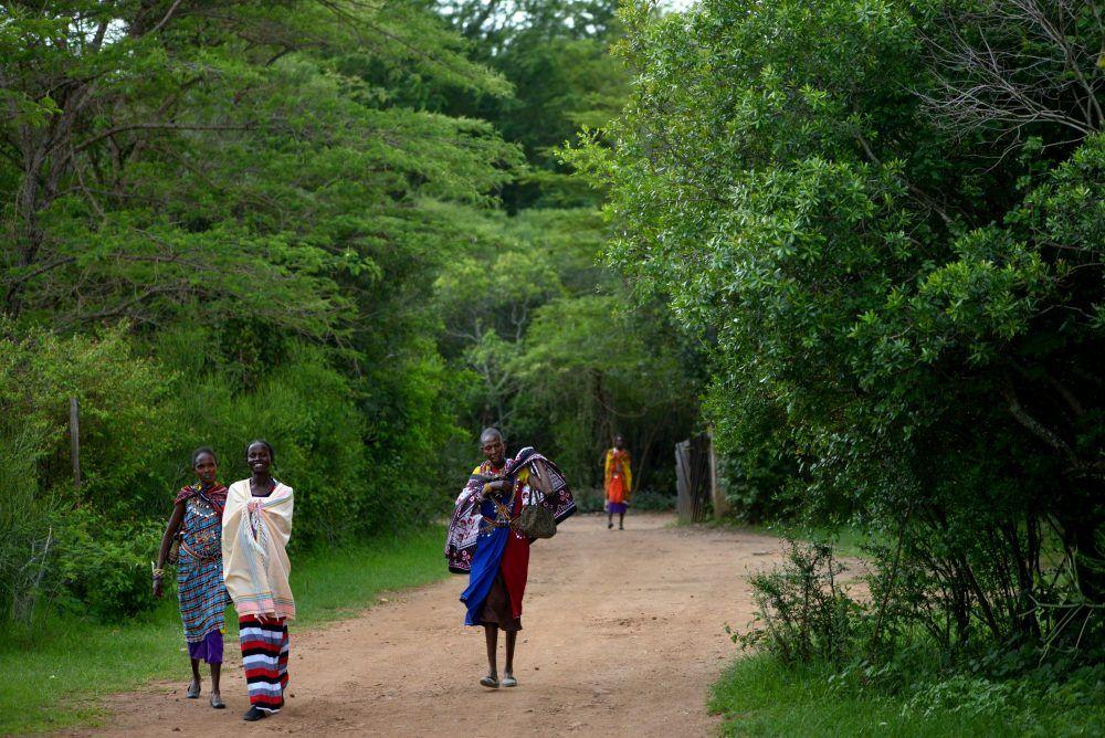 Maasai women in traditional dress walking on road in forest, Masai Mara Kenya.